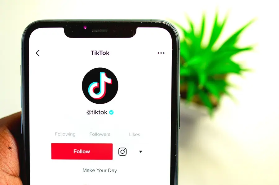 Pochi semplici passi per diventare famosi su Tik Tok