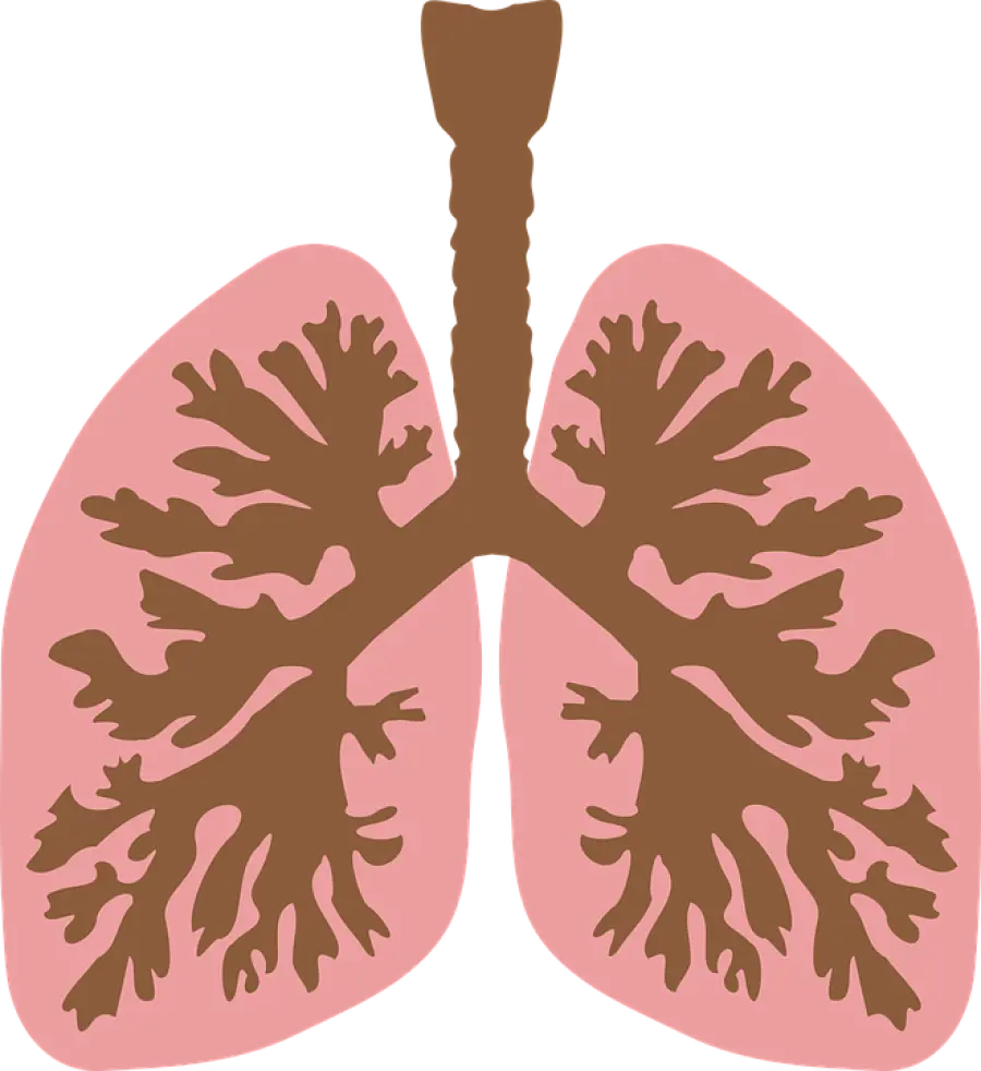 La Polmonite ab ingestis